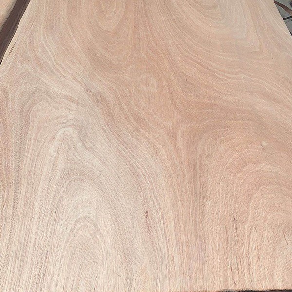 Placage Bois naturel 