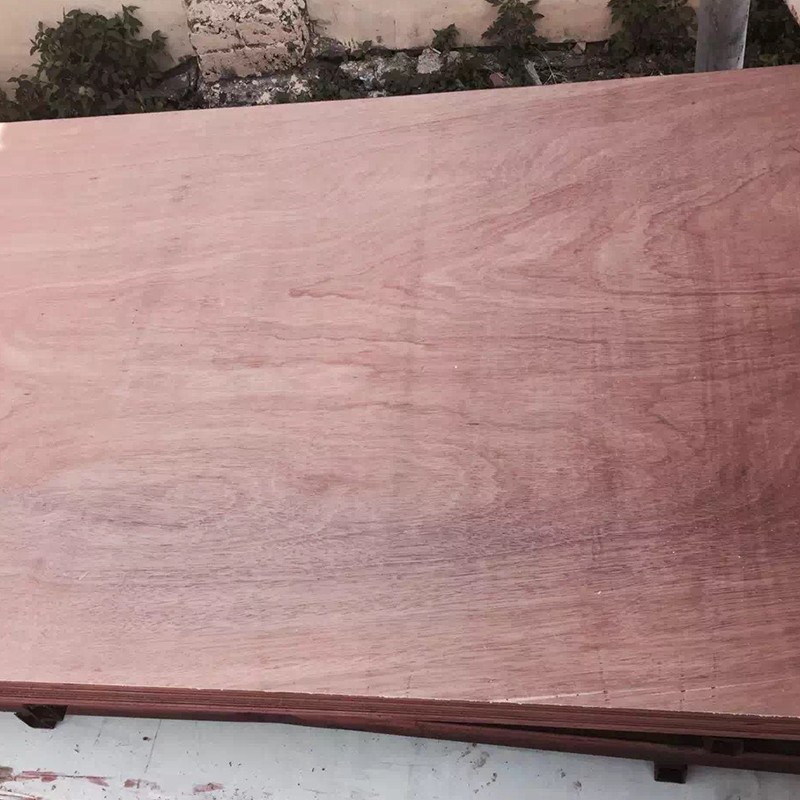 Contreplaqué Bintangor