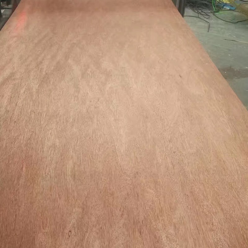 Contreplaqué Bintangor