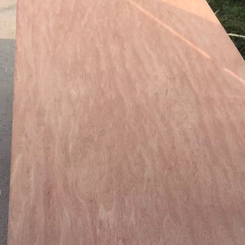 Contreplaqué Bintangor